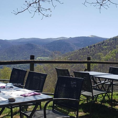 Auberge Les Myrtilles Le Bosc  Luaran gambar