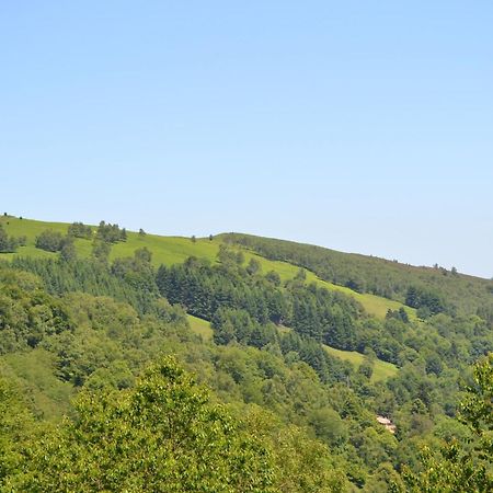 Auberge Les Myrtilles Le Bosc  Luaran gambar