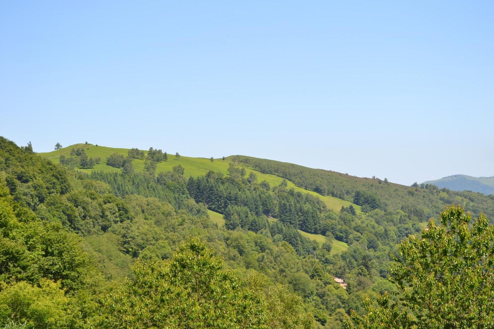 Auberge Les Myrtilles Le Bosc  Luaran gambar