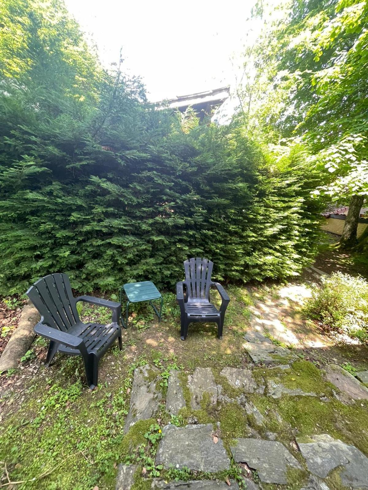 Auberge Les Myrtilles Le Bosc  Luaran gambar